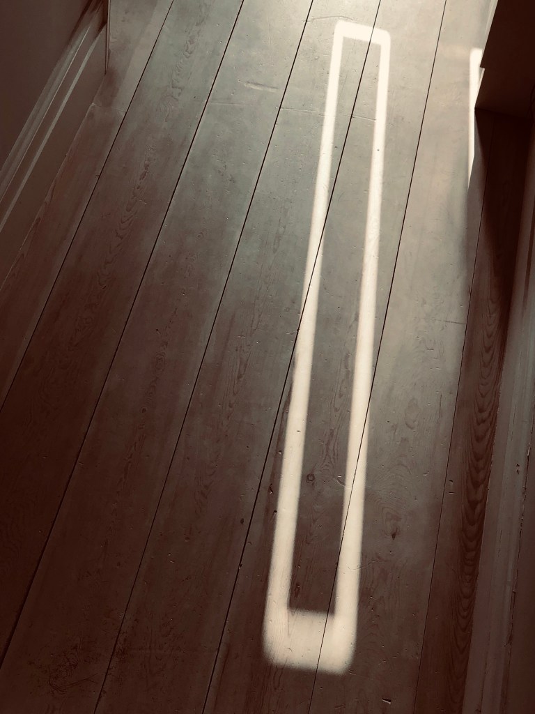 5A3C0D53-129C-4706-B0FB-674C68101E94