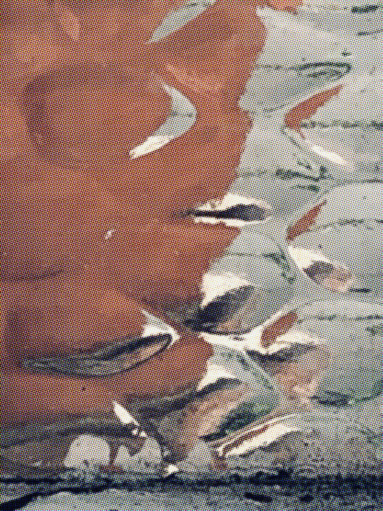 Colour Halftone Test.jpg